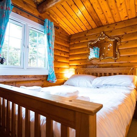 Woodpecker 3 Bedroom Trawsfyndd Holiday Village - Hosted By Seren Property Trawsfynydd Esterno foto